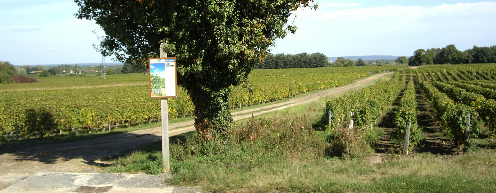 Location du foyer